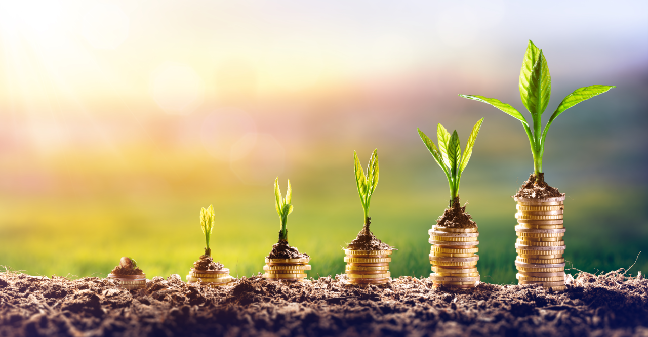 A small green plant growing out of a glass full of coins representing retirement savings with Pillar 3a in Switzerland